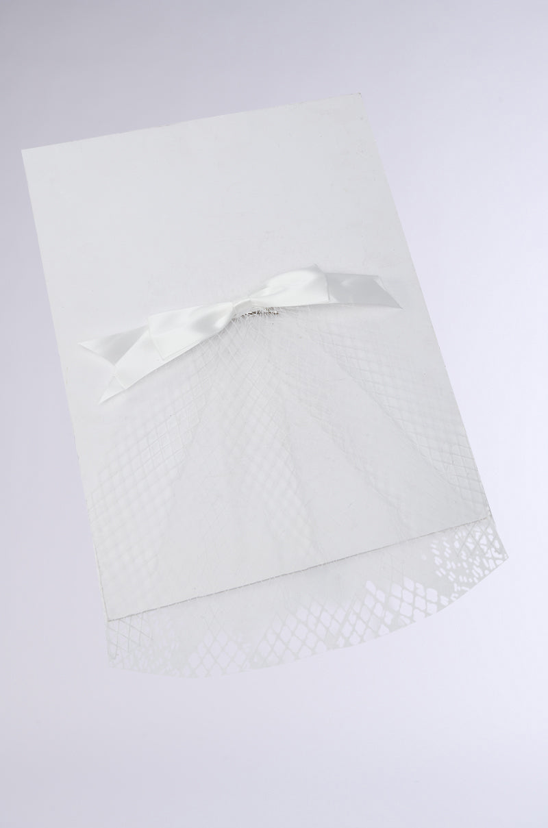 POSE NETTED HAIR BOW